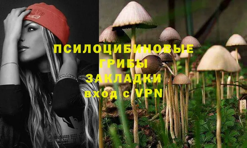 Галлюциногенные грибы MAGIC MUSHROOMS  купить наркотик  Жирновск 